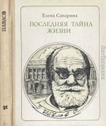 Последняя тайна жизни (Этюды о творчестве)