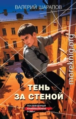 Тень за стеной