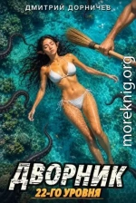 Дворник 22-го уровня. Том 9