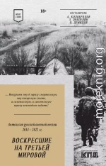 Воскресшие на Третьей мировой. Антология военной поэзии 2014–2022 гг.
