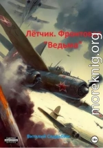 Летчик. Фронтовая «Ведьма»