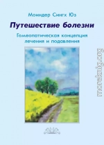 Путешествие болезни. Гомеопатическая концепция лечения и подавления