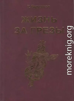 Жизнь за грезы, или Околдованная женщина