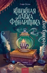 Книжная лавка фонарщика