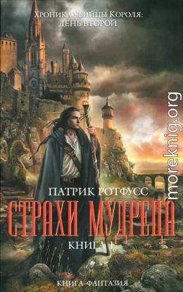 Страхи мудреца. Книга 1