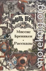 Миссис Бреникен: Роман. Рассказы