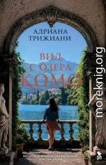 Вид с озера Комо