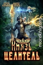 Князь Целитель 6