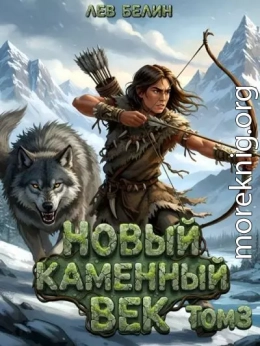 Новый каменный век. Том III