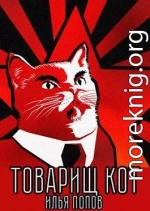 Товарищ кот