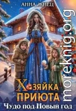 Хозяйка приюта. Чудо под Новый год
