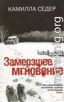 Замерзшее мгновение