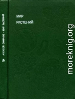 Мир растений: Рассказы о культурных растениях