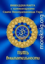 Путь внимательности. Вишуддхи-марга с комментариями Свами Вишнудевананда Гири