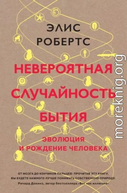 Невероятная случайность бытия. Эволюция и рождение человека