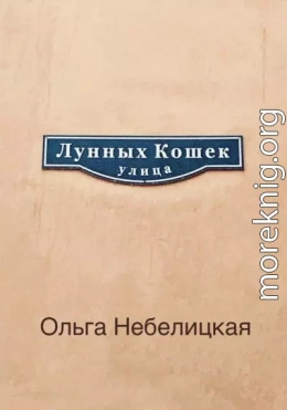 Улица лунных кошек