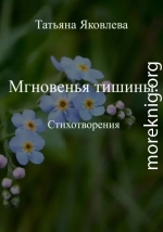 Мгновенья тишины. Стихотворения