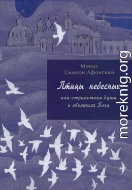Птицы небесные или странствия души в объятиях Бога. Книга 1