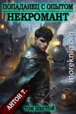 Попаданец с опытом. Некромант. Том 6
