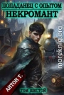 Попаданец с опытом. Некромант. Том 6