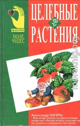 Целебные растения