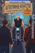 Детективное агентство по особо не важным делам. Степные волки