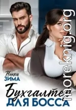 Бухгалтер для Босса