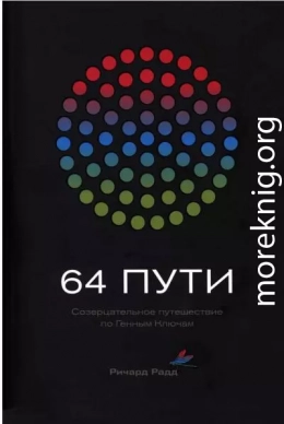 64 пути