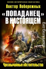 «Попаданец в настоящем». Чрезвычайные обстоятельства (СИ)