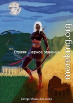 Стражи. Верное решение