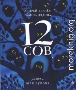 12 сов