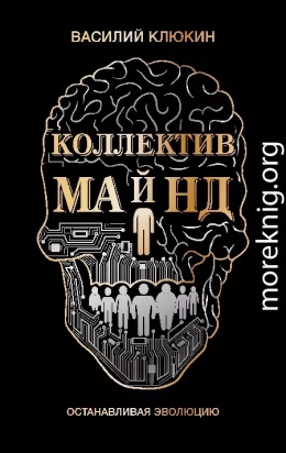 Коллектив Майнд