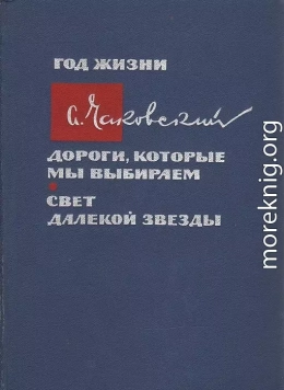 Год жизни. Дороги, которые мы выбираем. Свет далекой звезды