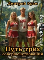 Путь трёх совершенствований. Том 4