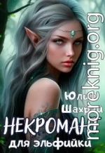 Некромант для эльфийки
