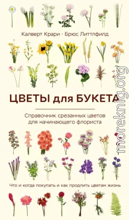 Цветы для букета. Справочник срезанных цветов для начинающего флориста. Что и когда покупать и как продлить цветам жизнь