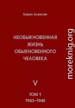 Необыкновенная жизнь обыкновенного человека. Книга 5. Том 1