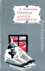 Обычная дорога российская