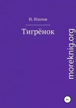 Тигрёнок