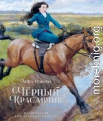 Чёрный Красавчик