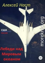 Лебеди над Мировым океаном