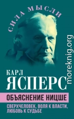 Объяснение Ницше. Сверхчеловек, воля к власти, любовь к судьбе