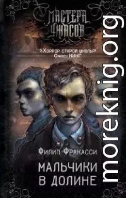 Мальчики в долине [Литрес]