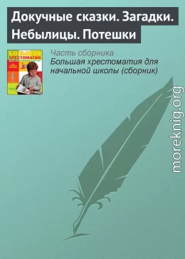 Докучные сказки. Загадки. Небылицы. Потешки