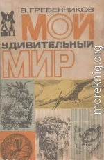 Мой удивительный мир