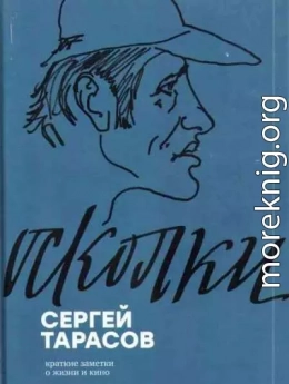 Осколки. Краткие заметки о жизни и кино