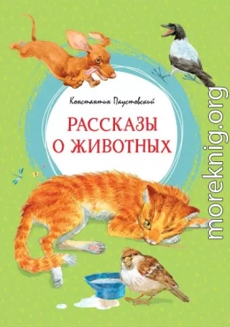 Рассказы о животных
