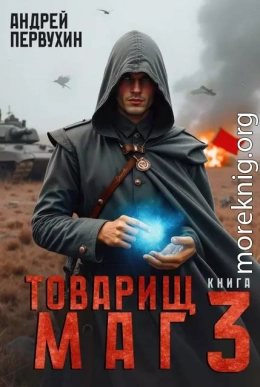 Товарищ маг. Книга третья
