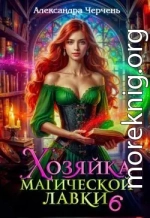 Хозяйка магической лавки – 6