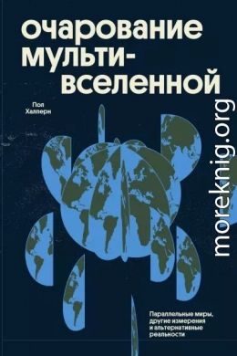 Очарование мультивселенной. Параллельные миры, другие измерения и альтернативные реальности